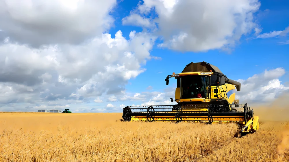 WHEAT
SCO and
DRAFT AGREEMENT