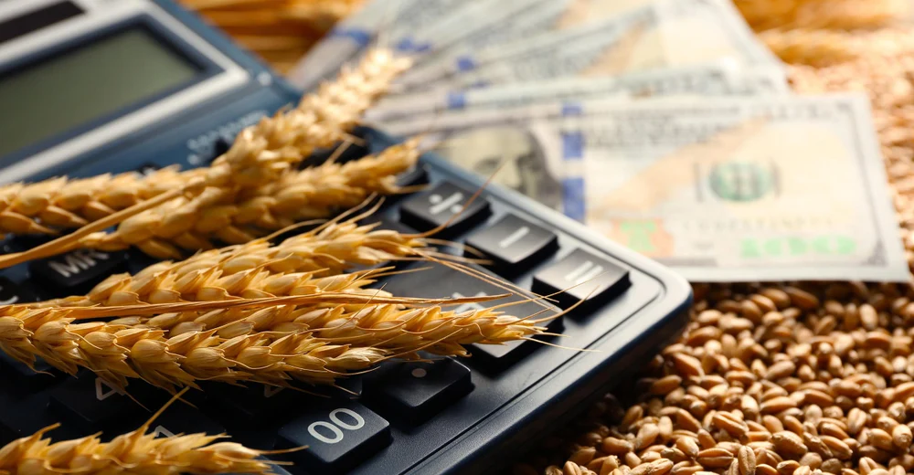 LAMAN LTD
INTERNATIONAL FINANCE