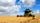 WHEAT
SCO and 
DRAFT AGREEMENT