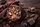 COCOA BEANS      
